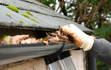 gutter cleaning Glenfoot, Perth And Kinross
